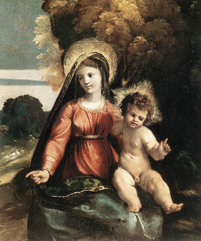 DOSSI, Dosso Madonna and Child ddfhf Germany oil painting art